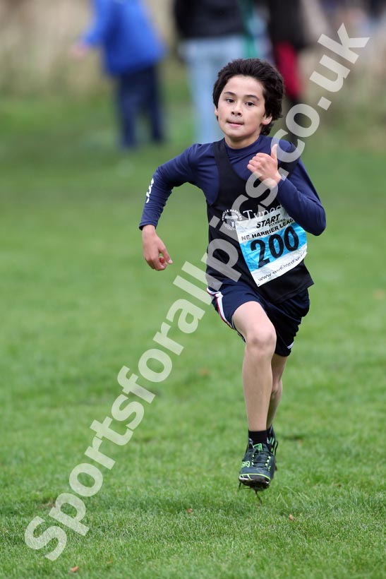 Blue 200, North East Harrier League, Sunderland